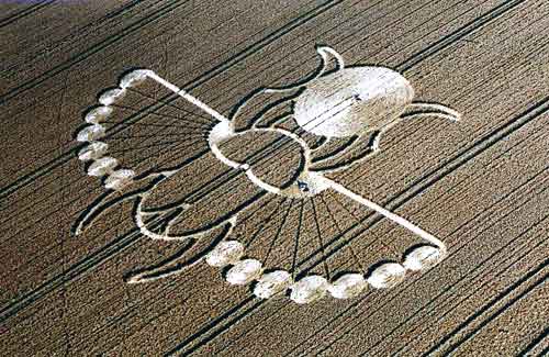 Изображение жука скарабея на пшеничном поле в Англии скарабей