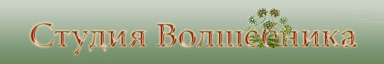 Студия Волшебника